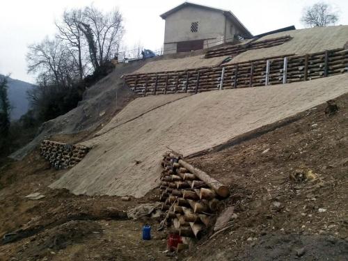 Arce in legno Casto