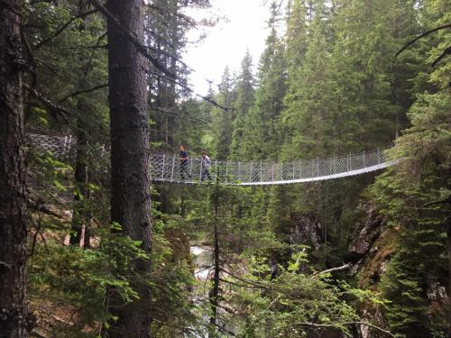 Ponte tibetano Paneveggio